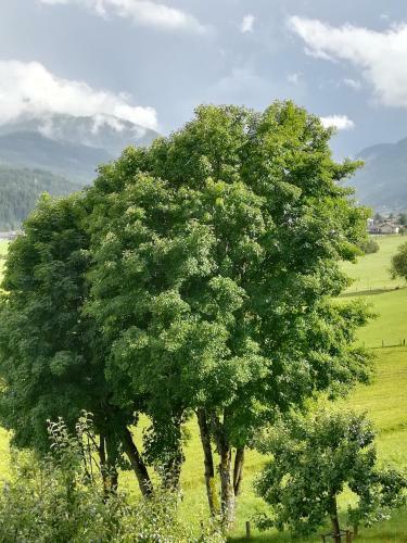 Agroturismo Bauernhof Unterbichl