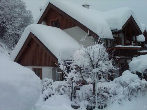 Ferienhaus Waldsicht
