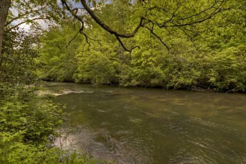 Go Fish- Fightingtown Creek Frontage