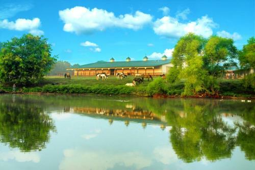 Hotel Southern Cross Guest Ranch