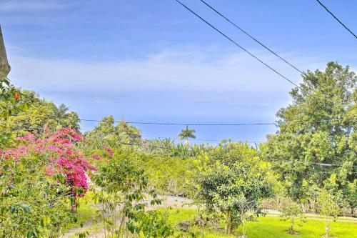 Apartamento Lush Studio Sanctuary On Coffee Farm With Lanai