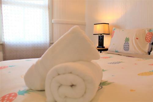 New - Pineapple Loft - Entire House Downtown Hilo