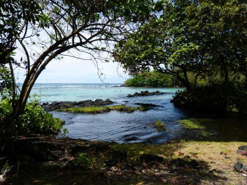 Apartamento Maluhia Kahakai Condo