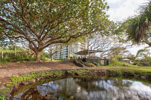 Apartamento Mauna Loa Shores #405 Condo