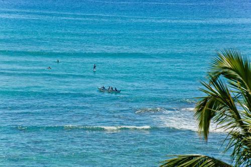Colony Surf #807