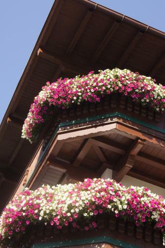 Hostal Pension Schipflinger Itter