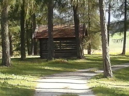 Apartamento Haus Michaeler