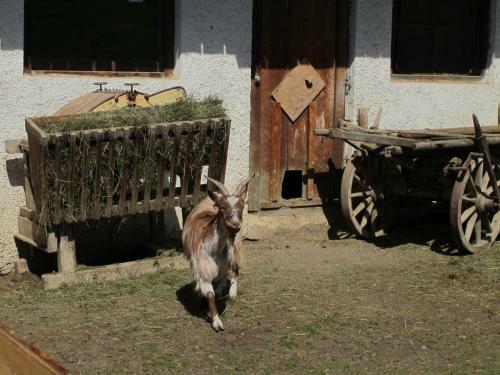 Agroturismo Fertinghof