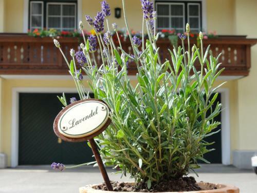 Hotel Familiengasthof Maier