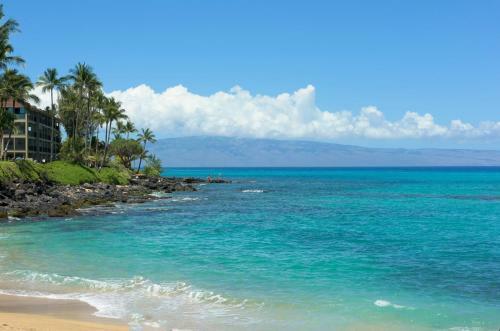 Kahana Manor 410