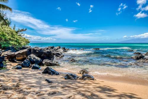 Mahina Surf III