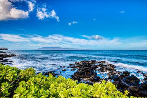 Mahina Surf III