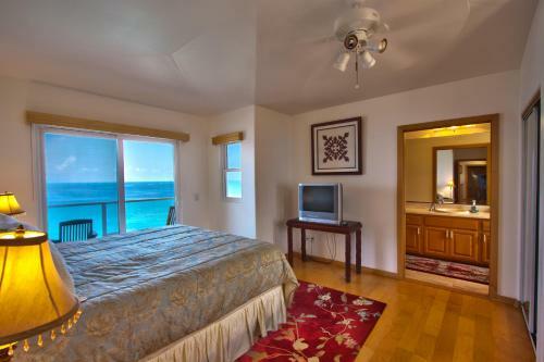 Hale Honu - Spectacular Oceanfront Home W/ Central A/c Wading Pool & Hottub