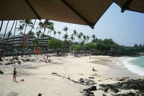 Hale Honu - Spectacular Oceanfront Home W/ Central A/c Wading Pool & Hottub