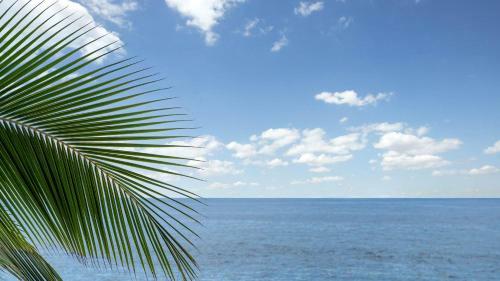 Hale Kona Kai By Casago