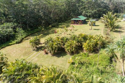 The Coqui Shack Cabin