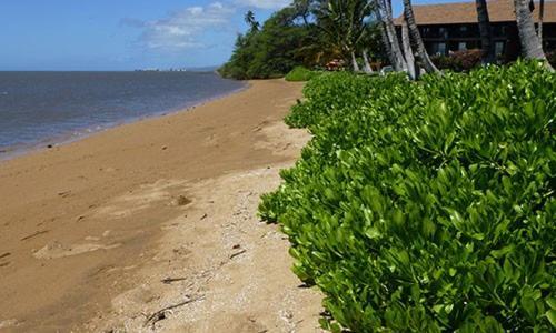 Molokai Shores