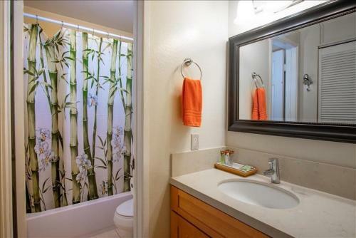 Wavecrest B209