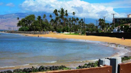 Maui Vista #2-222