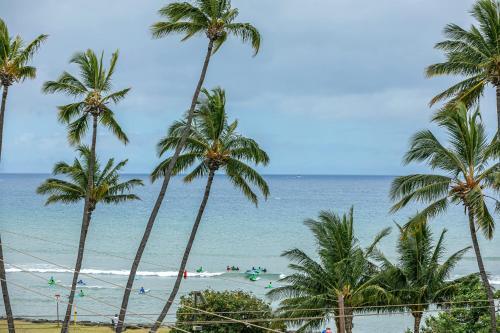 Island Surf #502