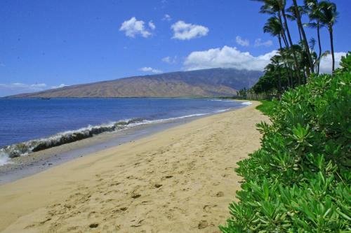 Hotel Kihei Beach #409 By Ali'i Resorts