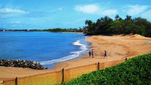 Kihei Bay Surf Studio #123