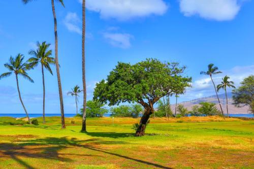 Leinaala Oceanfront #405