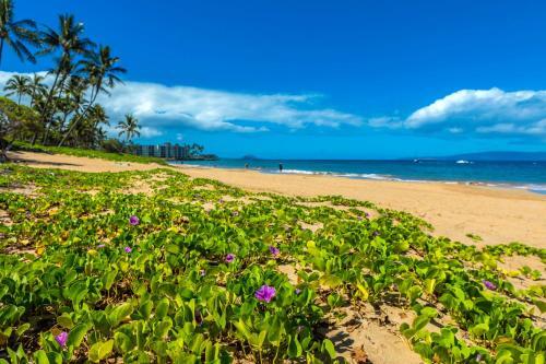 Maui Vista #1-301