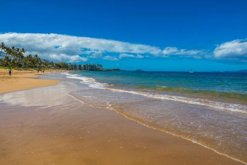 Maui Vista #3-218