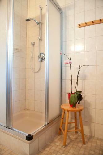 Apartamento Landhaus Manuela & Haus Michael