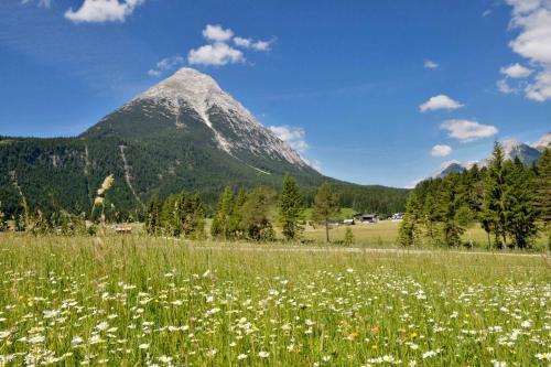Hostal Pension Margret
