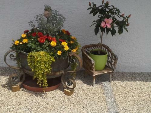 Apartamento Landhaus Rauth