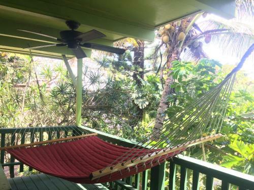 Kehena Treetop Bungalow Home