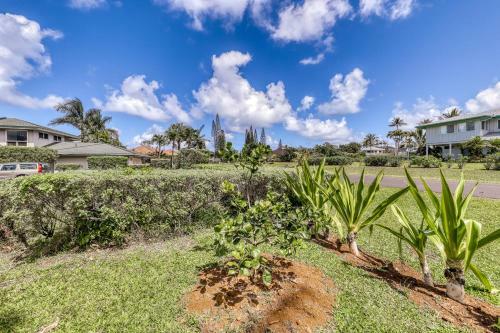 Casa Aloha