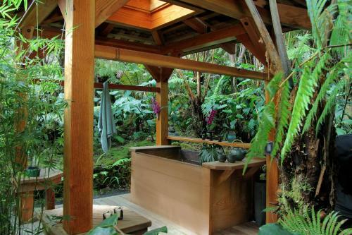 Bed & Breakfast Volcano Rainforest Retreat