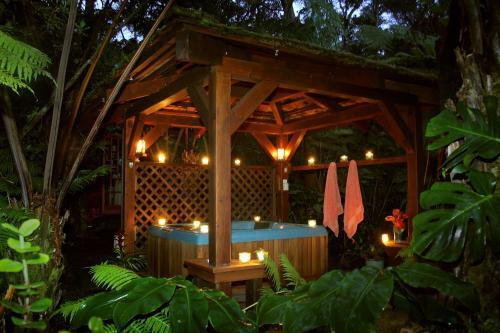 Bed & Breakfast Volcano Rainforest Retreat