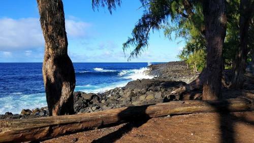 Hale O'hia Lehua Home