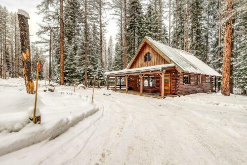 Forest Cabin