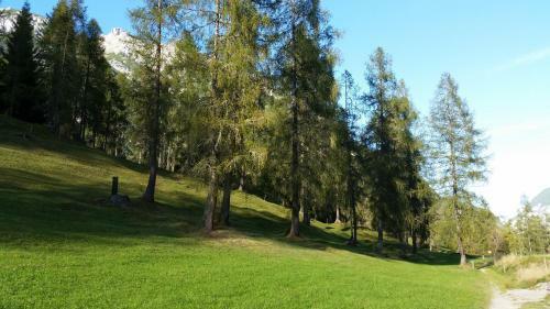 Apartamento Ferienwohnungen Rauth
