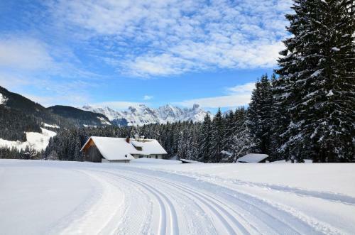 Apartment Tennengebirge