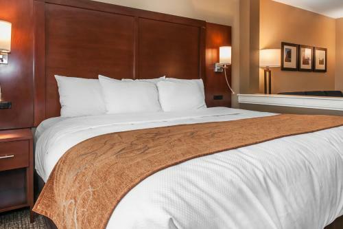 Hotel Comfort Suites Rensselaer