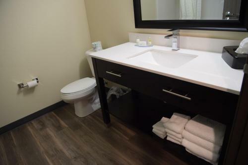 Hotel Cobblestone Inn & Suites - Forest City