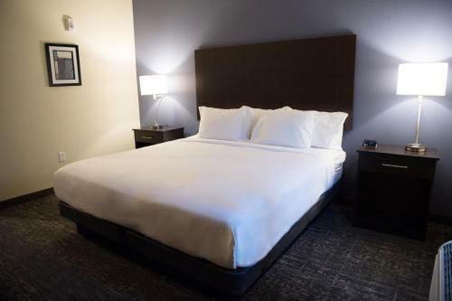 Hotel Cobblestone Inn & Suites - Forest City