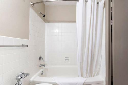 Apartamento Abode Vue At 3rd Downtown Studio Suite