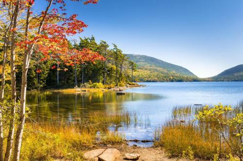 New Listing! Spacious Getaway Close To Acadia Home