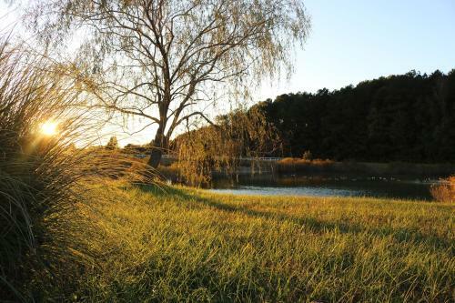 Brooklyn Meadows
