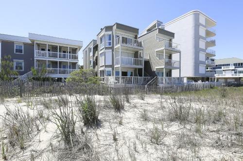 Silver Sands