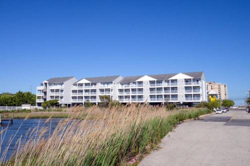 Oasis On The Bay