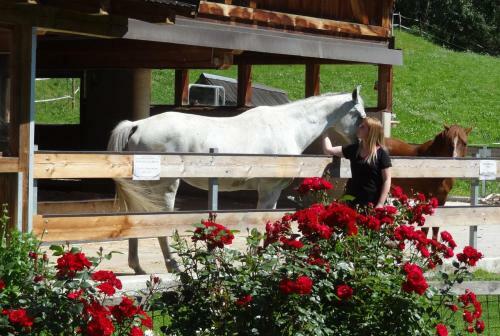 Agroturismo Landhaus Raich