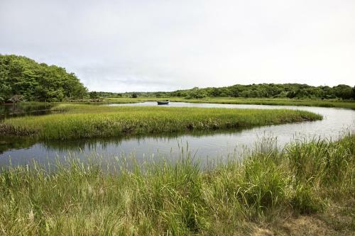 Old Orchard